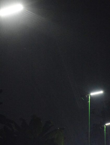 DSC_84141-1007×1024