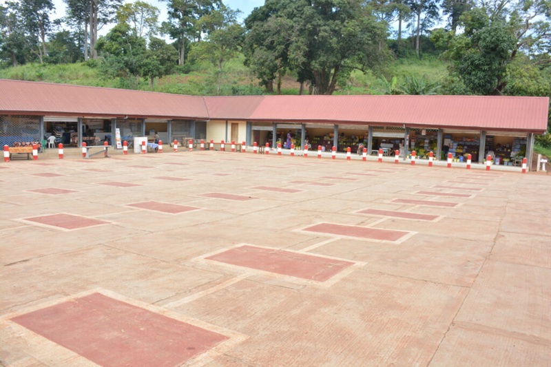 DSC_5519-1024×683 1